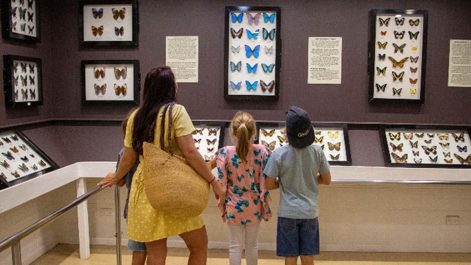 Step into Kuranda's Australian Butterfly Sanctuary and prepare to be enchanted by the mesmerising dance of fluttering wings!